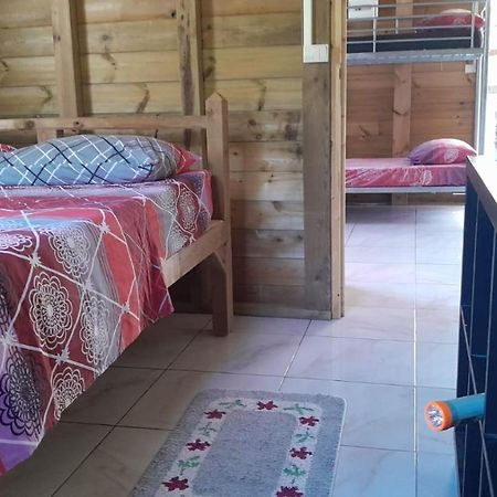 Petit Chalet Vacance Vidon Kültér fotó